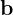 \mathbf{b}